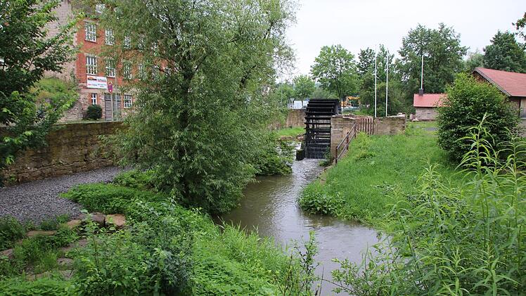 Im Nebenarm der Saale an der Herrenmühle können Gesundheitsbewusste bald kneippen. Foto: Ralf Ruppert