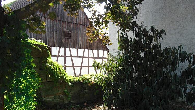 Der Teil der Stadtmauer soll aufgewertet werden. Foto: Petra Malbrich