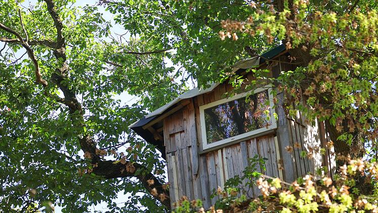 Strom-Sabotage: Suche nach Verd&auml;chtigem am Hambacher Forst