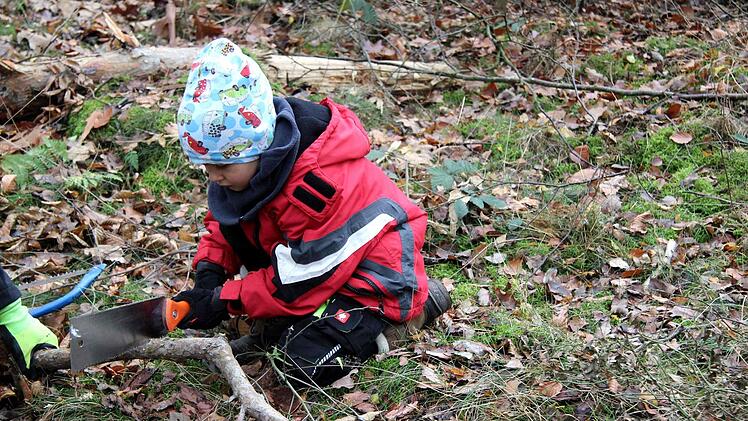 Eindrücke vom Aktionsnachmittag "Säge frei"   Richard Sänger