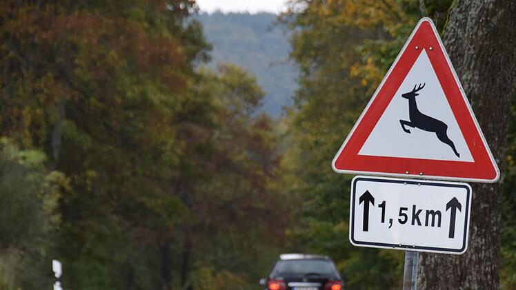 Im Kreis Bamberg verlor ein Autofahrer wegen eines Tieres die Kontrolle über sein Auto. Symbolbild: Ronald Rinklef