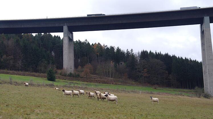 Diese Bewohner in Speicherz haben mit dem Lärm von der Grenzwaldbrücke kein Problem, die Speicherzer Bürger sehr wohl. Sie wünschen sich auch für den Ersatzneubau einen Lärmschutz.  Foto: Stephanie Elm
