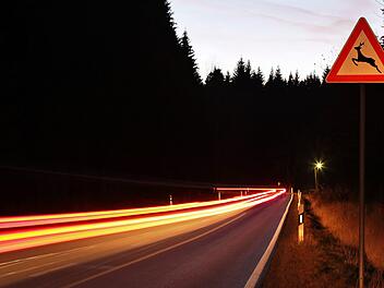 Kreis Ansbach: Biker (36) kollidiert mit Reh - Mann verletzt, Tier verschwindet