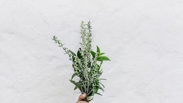 Zu Maria Himmelfahrt werden in katholischen Gegenden Kräuter gebunden, die im Gottesdienst gesegnet werden. Bild: nordwood/ unsplash.com
