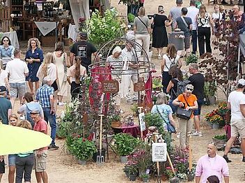 Im Juli kommt das Mainufer-Gartenfest nach Ha&szlig;furt