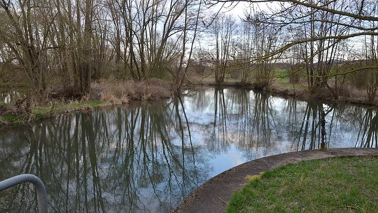 Vor dem Stau hat sich ein Biotop gebildet.