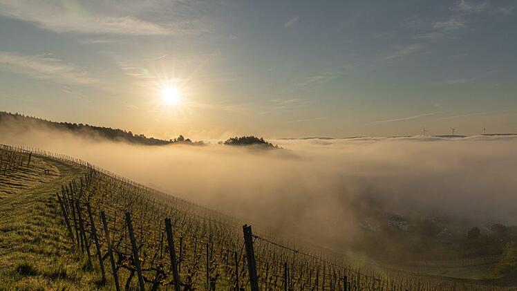 Foto: Ralf Bauer