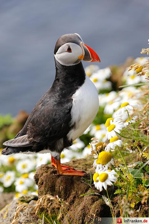 Bilder aus Island