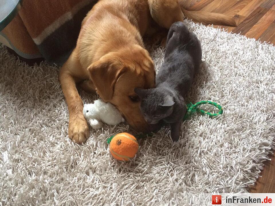 Foto: Mechthild Schmitt