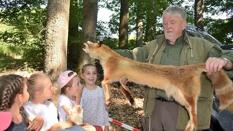 Josef Rüttiger, genannt Jäger Sepp, zeigt das Fell eines von ihm erlegten Fuchses. Die Kinder sind beeindruckt. Foto: Kathrin Kupka-Hahn