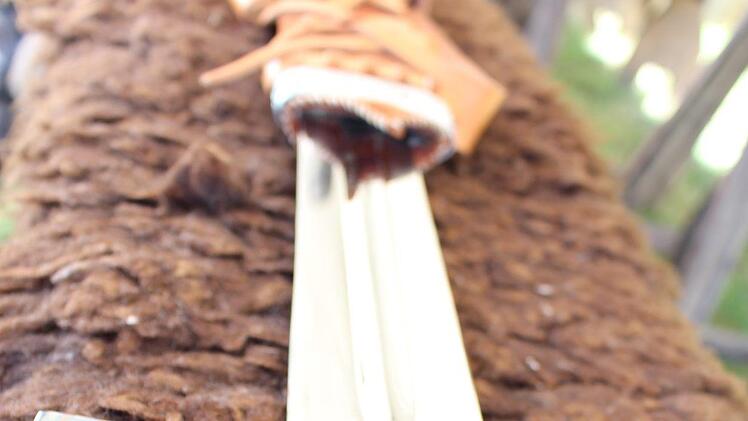 Impressionen von Stadtfest und Mittelaltermarkt in Bad Brückenau Foto: Julia Raab/Ulrike Müller