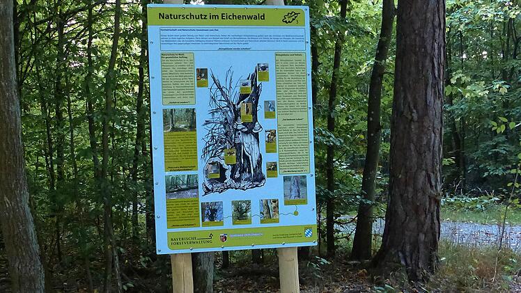 Mit großen Schautafeln zeigt der Eichenlehrpfad das Leben im Ebenhäuser Forst auf. Foto: Hans-Peter Hepp