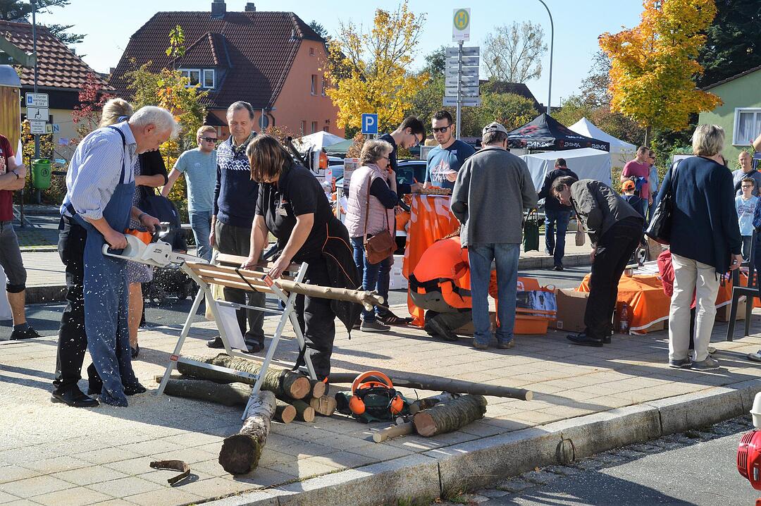 Holztag Scheinfeld 2017