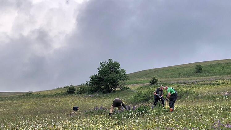 Mit Spaten, Sensen und Ampferstecher geht es in den Kampf gegen die Lupine auf den Rhöner Wiesen.