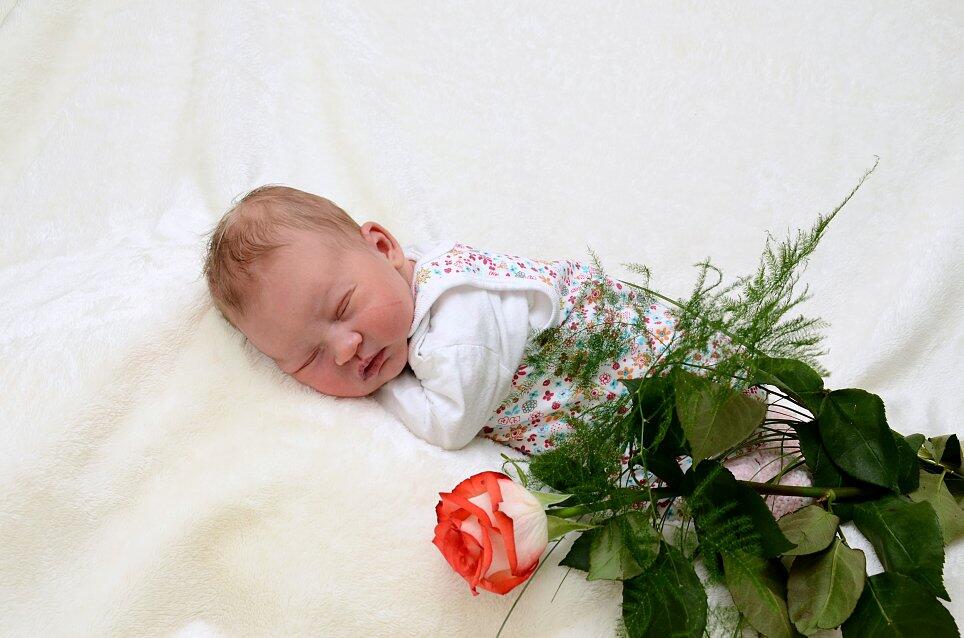 Babygalerie Forchheim