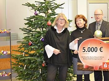 Die Rotarier wollen krebskranken Kindern eine Freude machen. Foto: privat