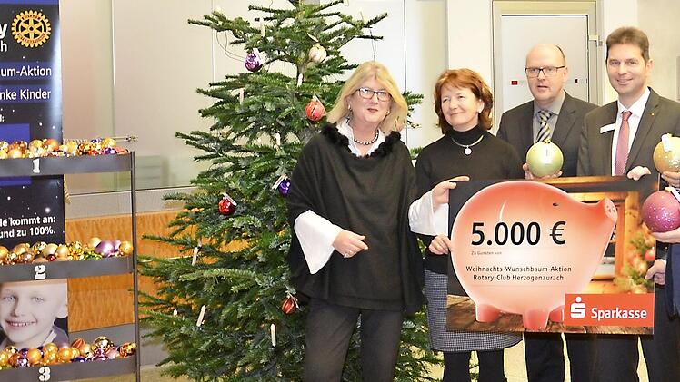 Die Rotarier wollen krebskranken Kindern eine Freude machen. Foto: privat