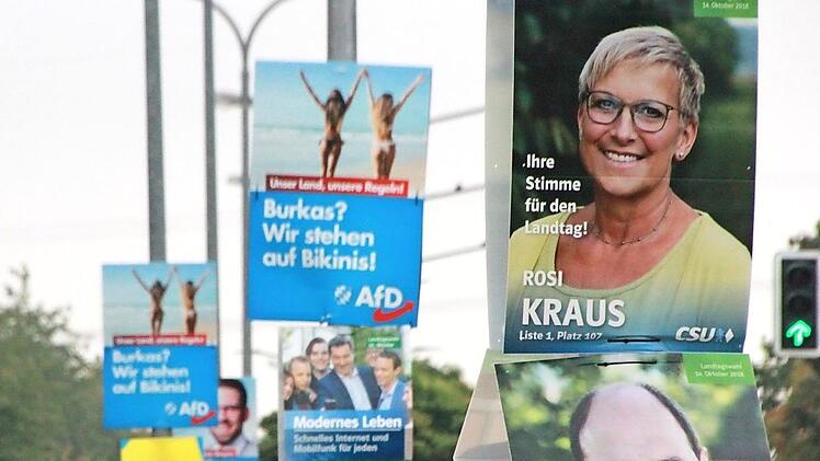 Ordnungsgemäß hat am vergangenen Samstag die Wahlplakatierung im Außenbereich der Stadt Forchheim begonnen. Wie hier an der Willy-Brandt-Allee.