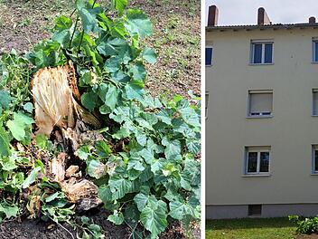 Bamberg: Stürmischer Wind in der Nacht - Feuerwehr zieht Bilanz