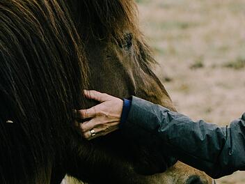 Bei einem Kutschunfall im Kreis Bad Kissingen wurde ein 32-J&auml;hriger  schwer verletzt. Die Kutsche wurde dabei komplett zerst&ouml;rt. Symbolfoto: unsplash.com /Rex Pickar