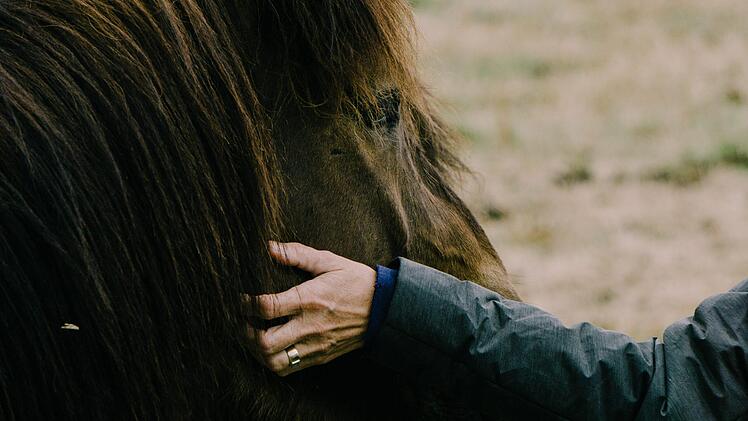 Bei einem Kutschunfall im Kreis Bad Kissingen wurde ein 32-J&auml;hriger  schwer verletzt. Die Kutsche wurde dabei komplett zerst&ouml;rt. Symbolfoto: unsplash.com /Rex Pickar