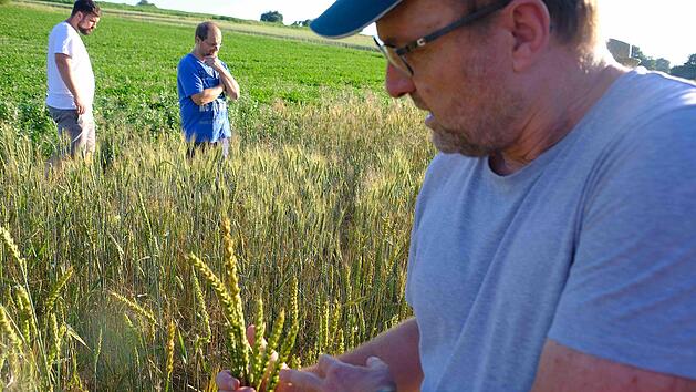 Werner Vogt-Kaute  (Dittlofsroda) zeigte seinen Besuchern die Zuchterfolge auf seinen Versuchsfeldern.Gerd Schaar