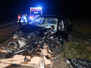 20-jährige Fahrerin prallt gegen Baum