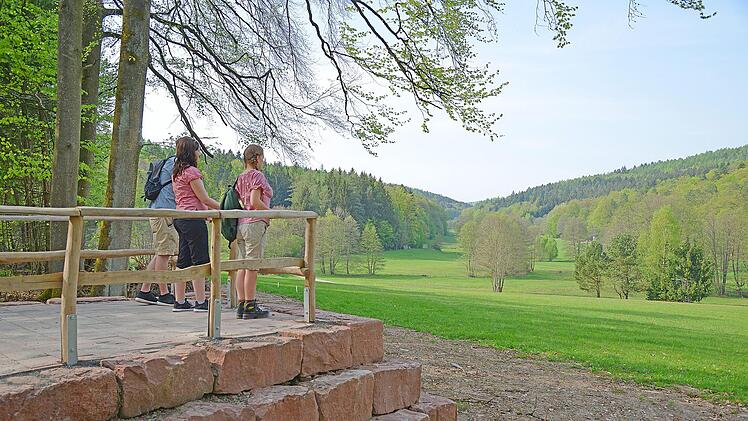 Die Plattform eröffnet Wanderern eine Aussicht auf das ganze Oehrbachtal.Foto: Christina Bayer