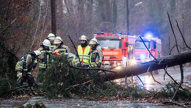 Einsatzkräfte der Feuerwehr entfernen einen durch das Sturmtief "Sabine" umgestürzten Baum von einer Straße in Pullach. Matthias Balk, dpa