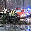 Einsatzkräfte der Feuerwehr entfernen einen durch das Sturmtief "Sabine" umgestürzten Baum von einer Straße in Pullach. Matthias Balk, dpa