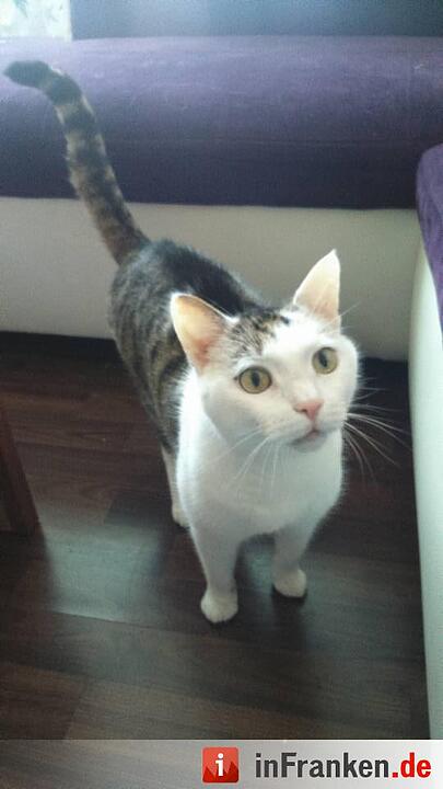 Foto: Tanja Cegla-Schüler