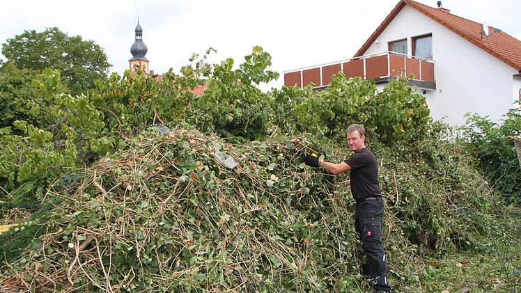 Ein Berg von Grünzeug liegt dort, wo bald der neue Markt entstehen soll. Holger Porzelt wird noch eine Weile mit Aufräumen beschäftigt sein.