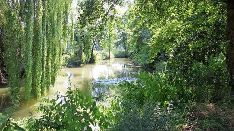 Idyllisch: der Mühlkanal bei Uehlfeld