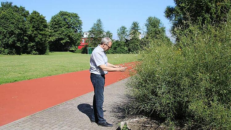 Schulleiter Joachim Schwigon steht an der Gr&uuml;nfl&auml;che, die fr&uuml;her einmal das Lehrschwimmbecken war. Die Steine des Beckenrandes sind noch die originalen.  Foto: Thomas Malz