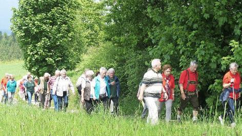 In der Neuengrüner Flur ließ es sich wunderbar durch die grüne Landschaft wandern. Fotos: Jürgen Schlee