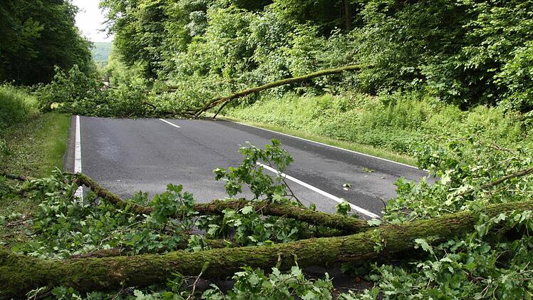 Die B 278 war am Wochenende wegen entwurzelter Bäume gesperrt.