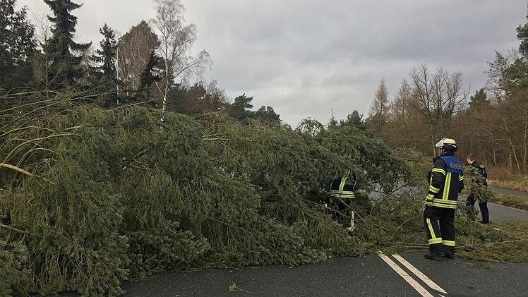 Sturmtief Friederike sorgte in Erlangen für 30 Einsätze der Feuerwehren. Bäume stürzten um, in einem Fall musste ein Gerüst gesichert werden. Foto: Feuerwehr Erlangen