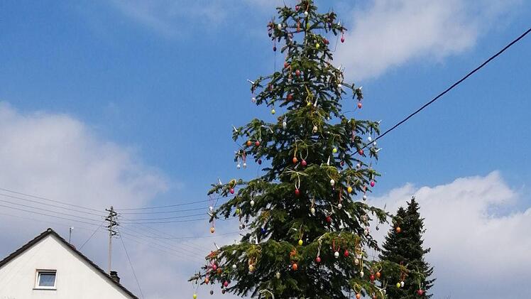 Der Osterbaum in Morschreuth wird geschmückt. Foto: Thomas  Weichert
