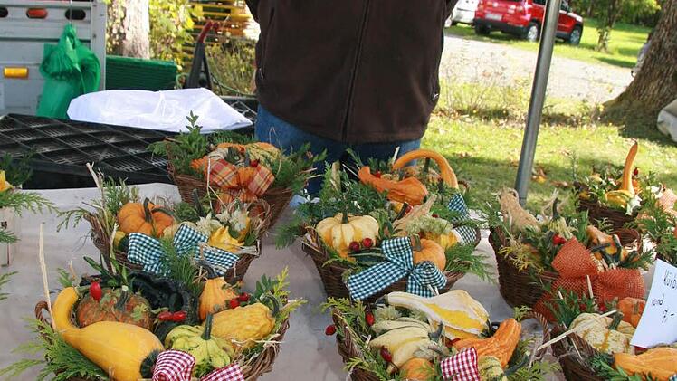 Willi Sesselmann hatte die Kürbisse dekorativ in Körbchen drapiert.