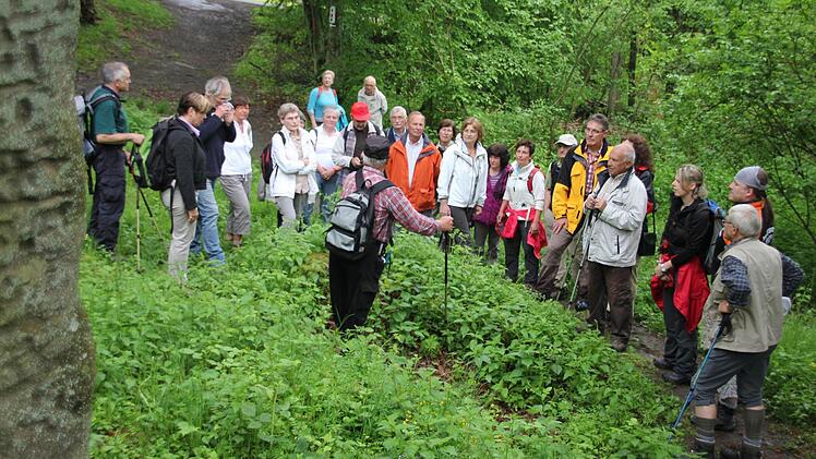 Die Wandergruppe an der Ruine Rotenhan.
