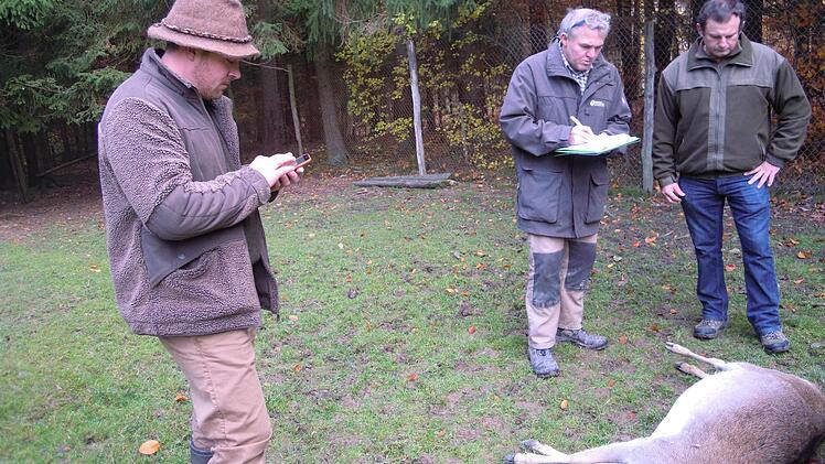 Michael Belz (links) mit den Gutachtern im Damwildgehege. Foto: Julia Raab