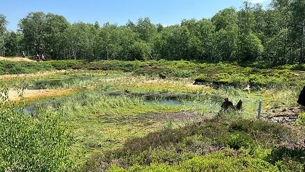 Rotes Moor in der Rh&ouml;n