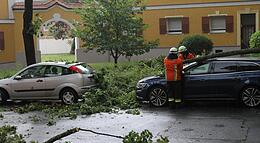 Vorschaubild