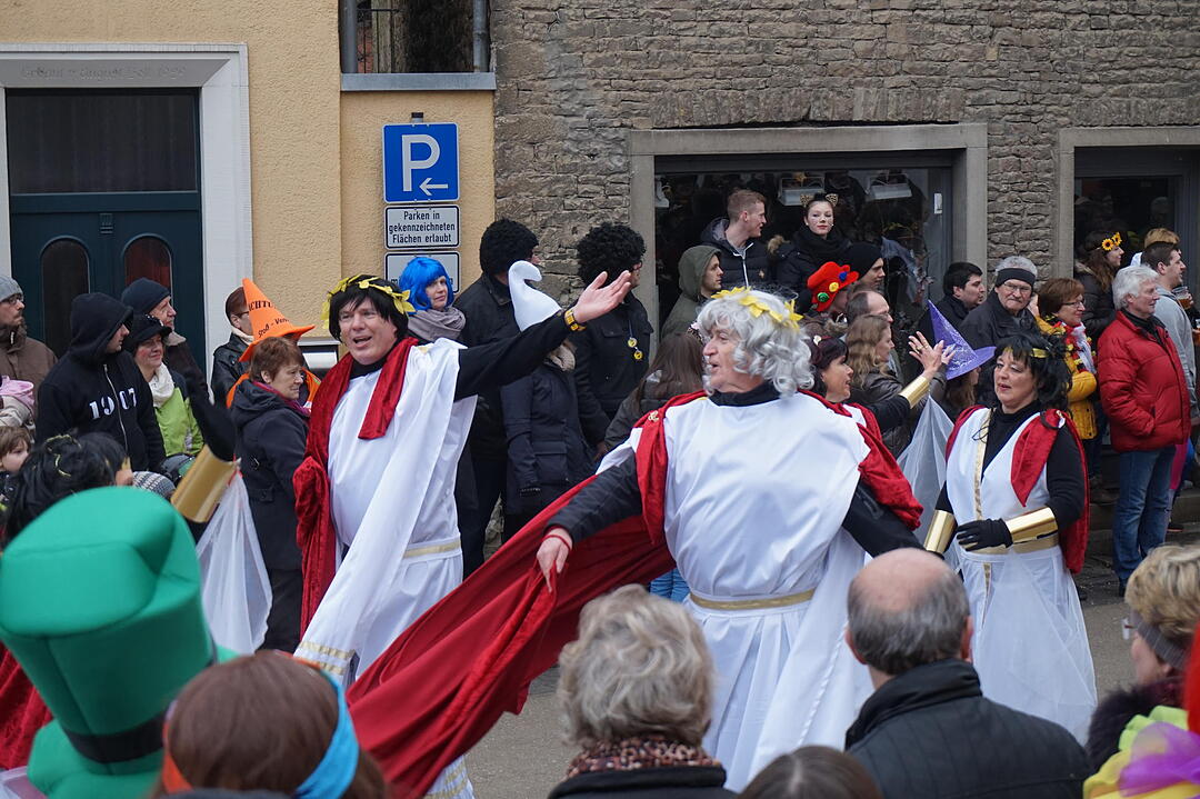 Landkreisfaschingszug 2015