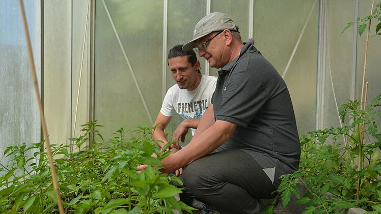Dieter Walther (rechts) und Nenad Pavlovic bauen mit Begeisterung Chilis an. Foto: Dagmar Besand