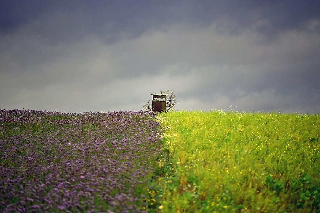 Wetter in Brandenburg