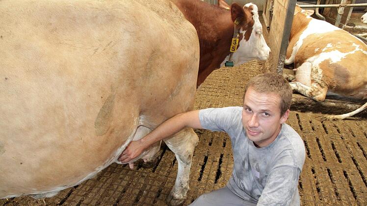 Paul Tonndorf aus Egloffstein bei der Jungviehbeurteilung in der praktischen Prüfung.  Foto: Mathias Erlwein