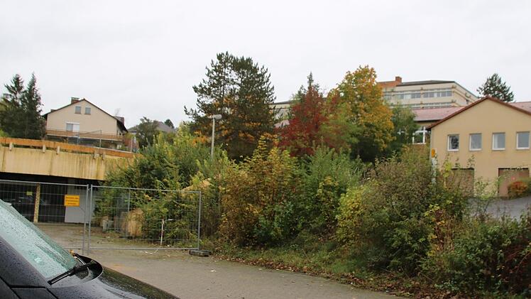 Das Hallenbad (links), das BBZ (oben) und die Landwirtschaftsschule (rechts) stehen eng beieinander. Bürgermeister Michael Kastl will eine Machbarkeitsstudie für das ganze Areal. Foto: Thomas Malz