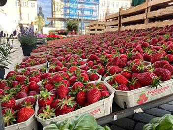 Coburg: Themenwochenmarkt am Samstag - Alles rund um die Erdbeere angeboten
