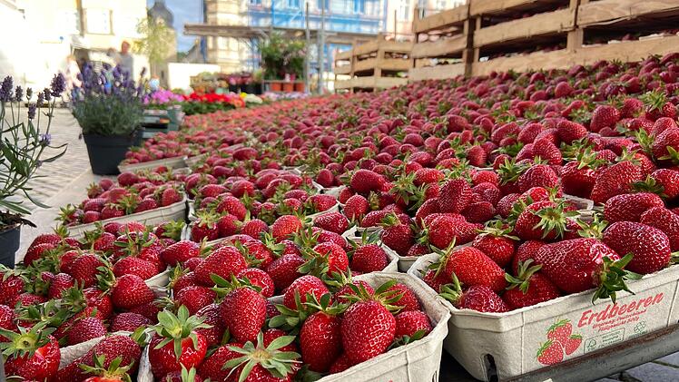 Coburg: Themenwochenmarkt am Samstag - Alles rund um die Erdbeere angeboten